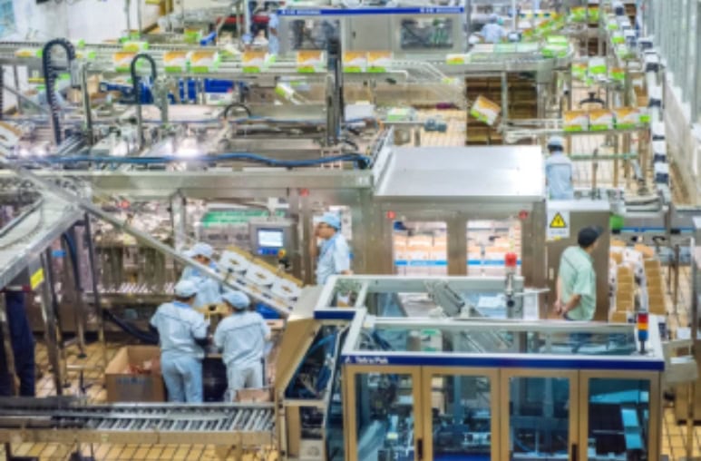 Food Manufacturing